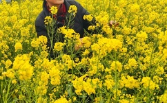 国产免费无码又爽又刺激A片